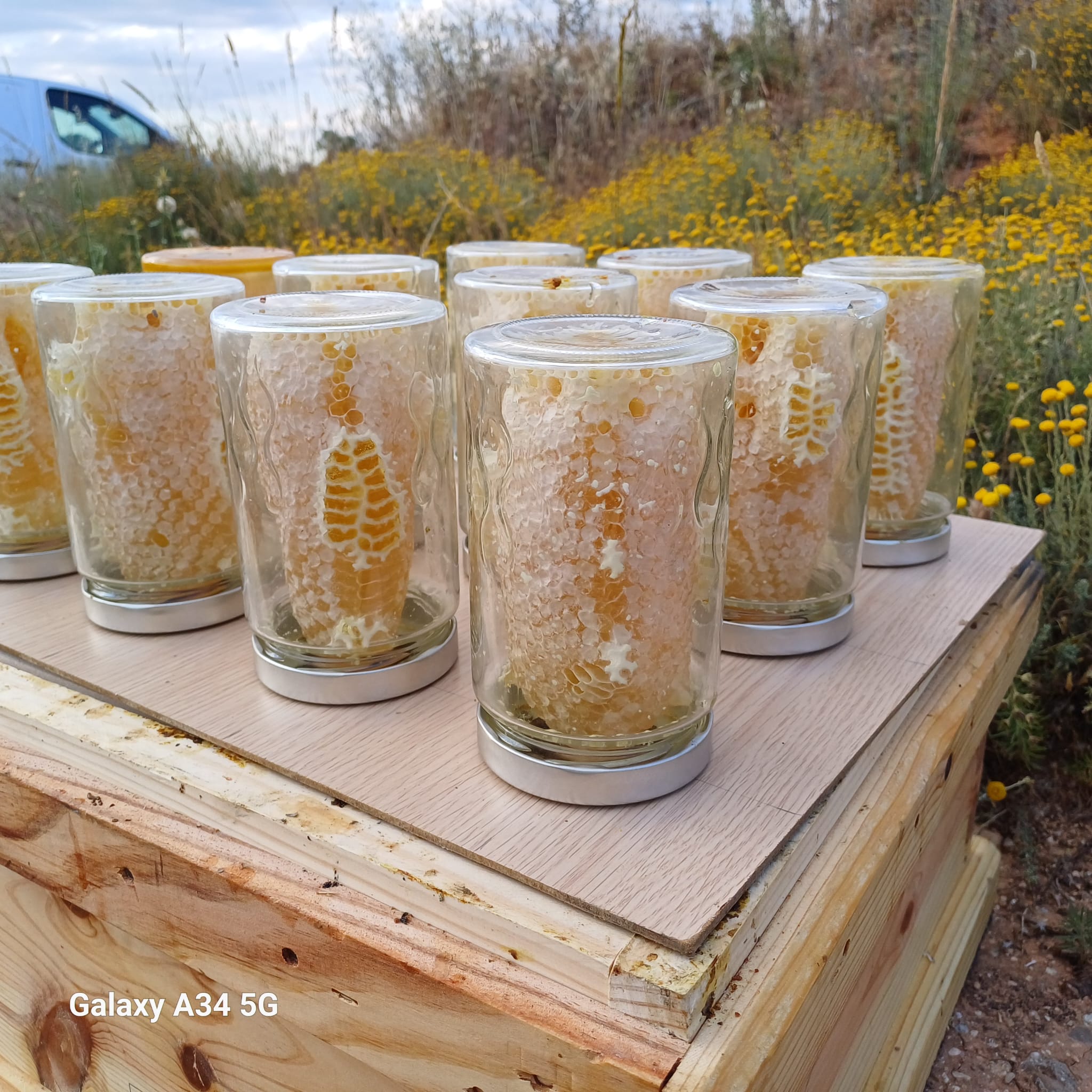 376e600a-31f9-4fd1-8080-ffec43a3447d