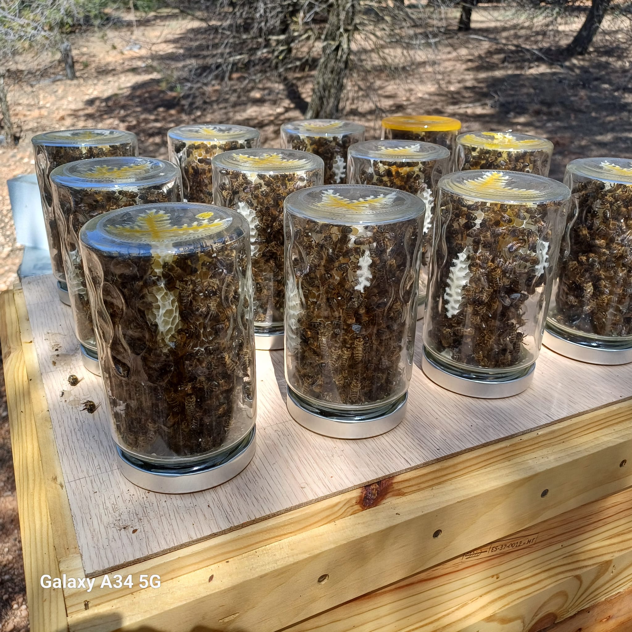 e63d035b-803d-4908-9e6d-2d8628761781