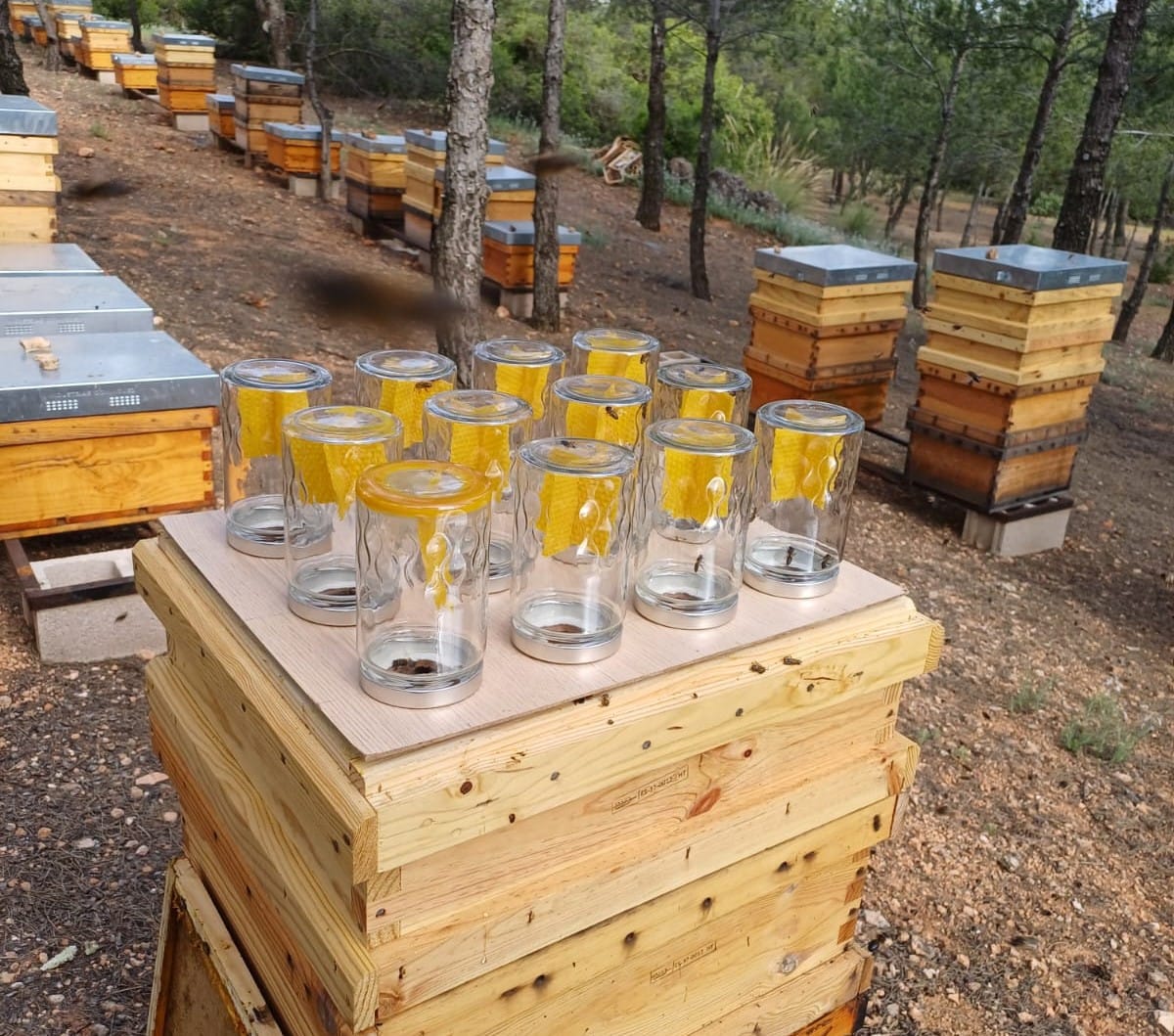 521bcdde-fbb2-47c5-9ace-11bc8df956e1